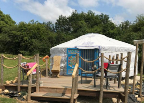 Original Mongolian Yurt in Le Vieux-Cerier